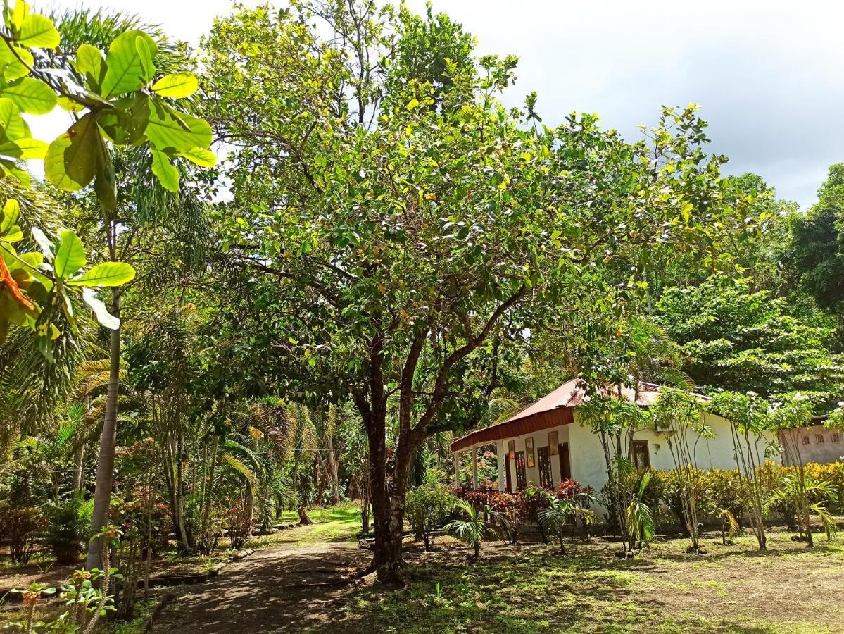 Tangkoko Jungle Homestay Rinondoran Exterior photo