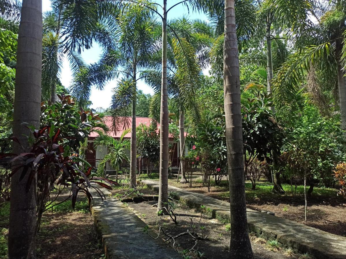 Tangkoko Jungle Homestay Rinondoran Exterior photo
